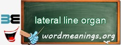 WordMeaning blackboard for lateral line organ